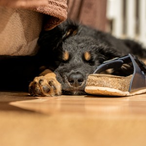 Done with the day